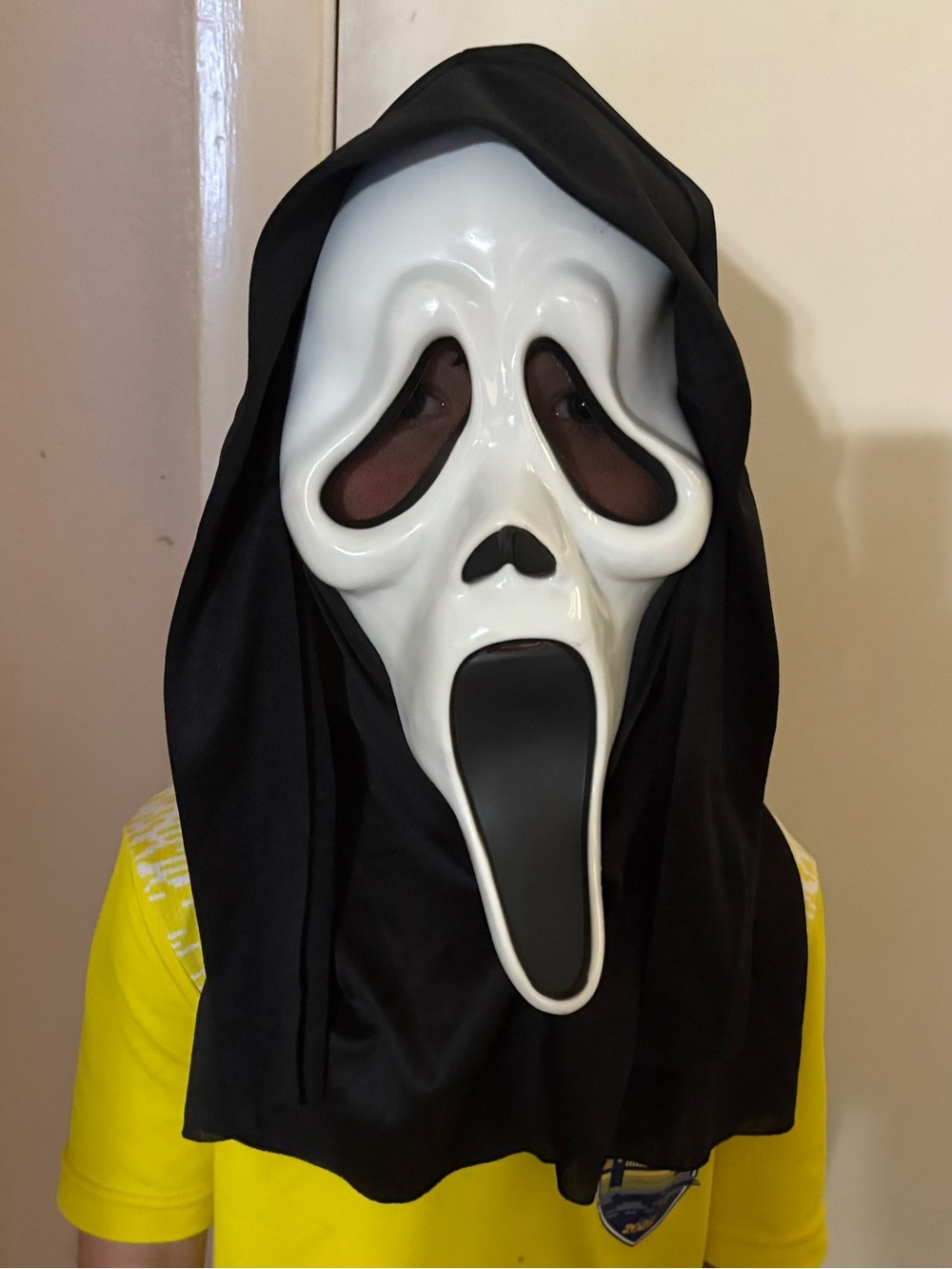 Child’s Scream Mask Halloween Costume